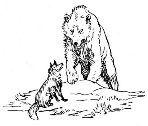 Bear And Wolf Coloring Page